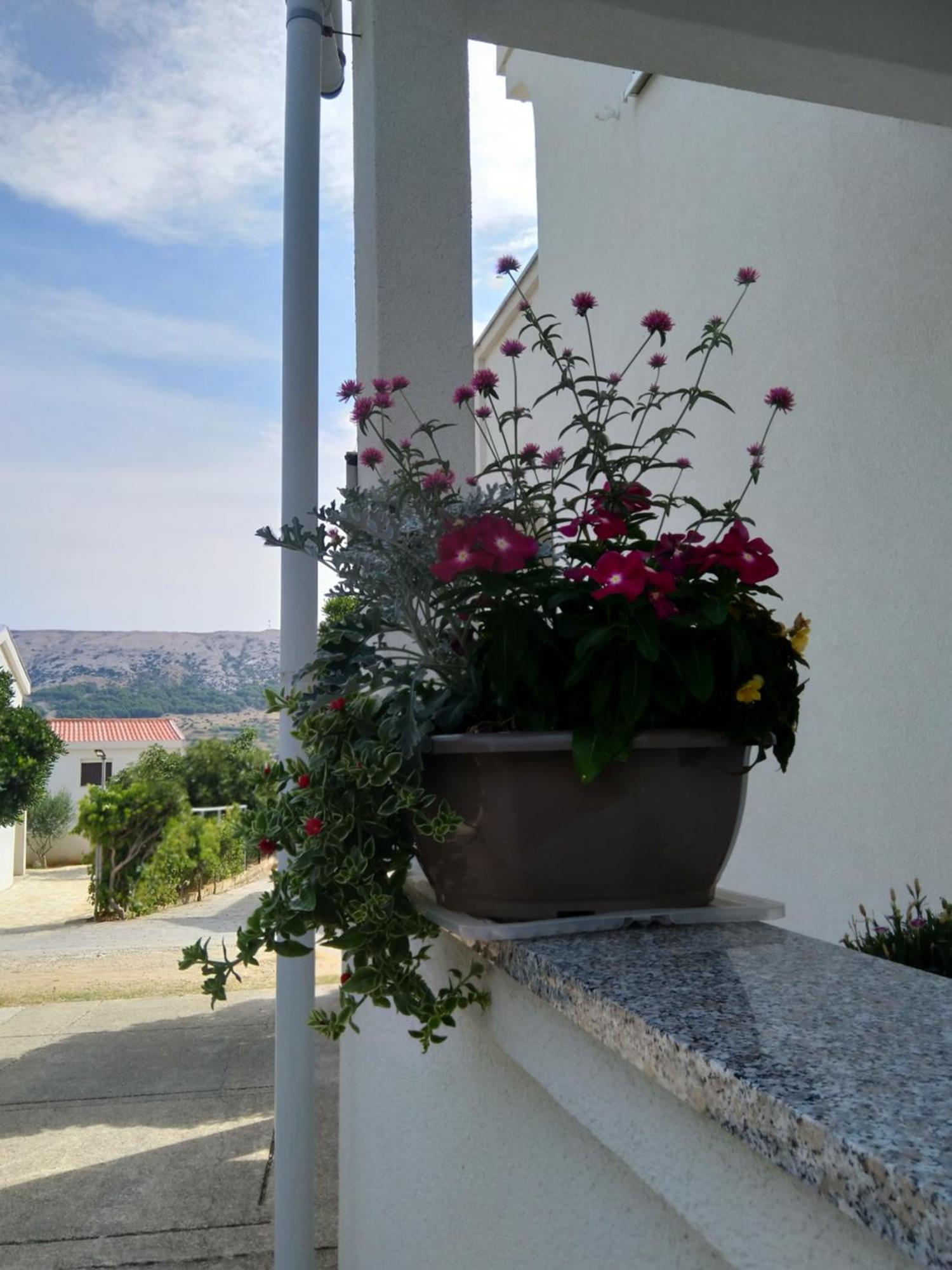 Apartment Edina Pag Pag Town Esterno foto